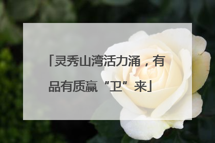 灵秀山湾活力涌，有品有质赢“卫”来